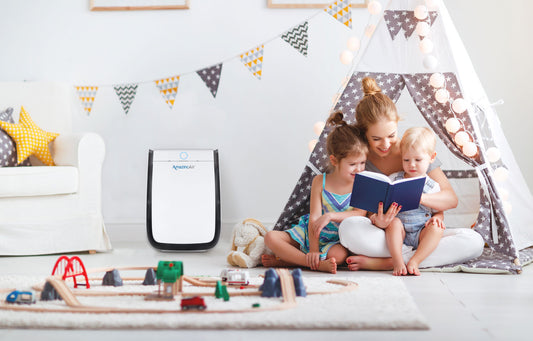 The AmazingAir air purifier: a technical masterpiece